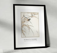 Numata Kashu - Japanese Grey Bunting and Rise Plant illustration from Pictorial Monograph of Birds (1885)