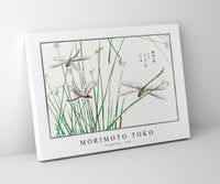 Morimoto Toko - Dragonflies illustration from Churui Gafu (1910)