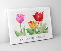 Tanigami Konan - Tulip