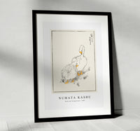 Numata Kashu - Duck and Young Grass illustration from Pictorial Monograph of Birds (1885)