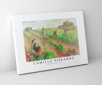 Camille Pissarro - The Beet Harvest 1881