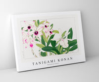 Tanigami Konan - Dendobium flower