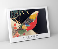 Ito Jakuchu - Golden Pheasant in the Snow (ca. 1900)