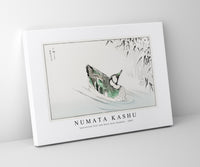 Numata Kashu - Spectacled Teal and Snow-bent Bamboo illustration from Pictorial Monograph of Birds (1885)