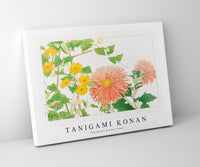 Tanigami Konan - Thunbergia & aster flower