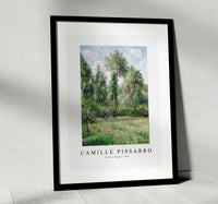 Camille Pissarro - Poplars, Éragny 1895