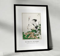 Numata Kashu - Japanese Stork and Pine Tree illustration from Pictorial Monograph of Birds (1885)