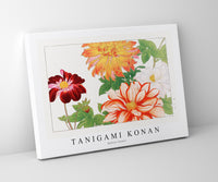Tanigami Konan - Dahlia flower