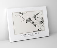 Numata Kashu - Pallas’s Blue Robin and Rose illustration from Pictorial Monograph of Birds (1885)