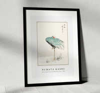 Numata Kashu - White-naped Crane and New Years Fern illustration from Pictorial Monograph of Birds (1885)