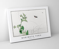 Morimoto Toko - Fireflies illustration from Churui Gafu (1910)