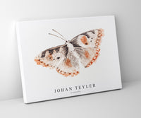 Johan Teyler - A butterfly
