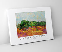 Vincent Van Gogh - Olive Trees 1889