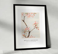 Megata Morikaga - Sakura cherry during 1870–1880