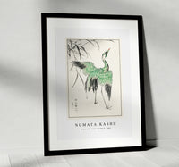 Numata Kashu - Demoiselle crane and Reed illustration from Pictorial Monograph of Birds (1885)