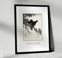 Numata Kashu - Eastern Rook and Cypress on New Moon illustration from Pictorial Monograph of Birds (1885)