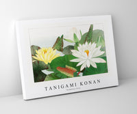 Tanigami Konan - Nymphaea lotus