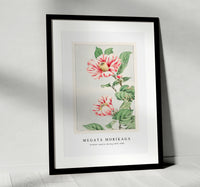 Megata Morikaga - Tsubaki camelia during 1870–1880