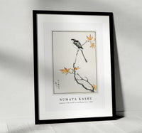 Numata Kashu - Japanese Long-tailed Tit and Maple Tree illustration from Pictorial Monograph of Birds (1885)