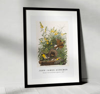 John James Audubon - Meadow Lark from Birds of America (1827)
