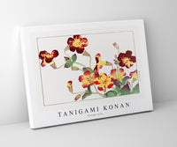 Tanigami Konan - Vintage tulip
