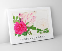 Tanigami Konan - Rose flower