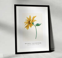 Michiel Van Huysum - Branch with a sunflower (1714–1760)