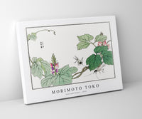 Morimoto Toko - Leaf and flower illustration from Churui Gafu (1910)