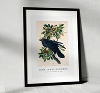 John James Audubon - Raven from Birds of America (1827)