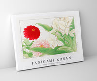 Tanigami Konan - Zinnia & white ginger lily flower