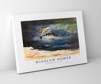 winslow homer - Fish and Butterflies-1900