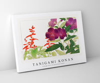 Tanigami Konan - Vintage salvia & melastoma flower