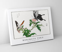 Morimoto Toko - Butterfly and flower illustration from Churui Gafu (1910)