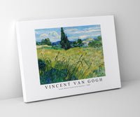 Vincent Van Gogh - Green Wheat Field with Cypress 1889
