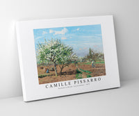 Camille Pissarro - Orchard in Bloom, Louveciennes 1872