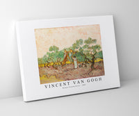 Vincent Van Gogh - Women Picking Olives 1889