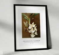 Frederick Sander - Catasetum bungerothii from Reichenbachia Orchids-1847-1920