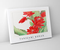 Tanigami Konan - Phyiiocactus flower