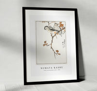 Numata Kashu - Siskin and Euonymus Alata illustration from Pictorial Monograph of Birds (1885)