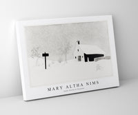 Snow Storm in Vermont