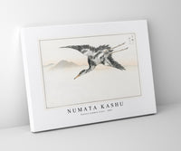 Numata Kashu - Eastern Common Crane illustration from Pictorial Monograph of Birds (1885)