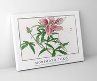 Morimoto Toko - Bee and Flower illustration from Churui Gafu (1910)