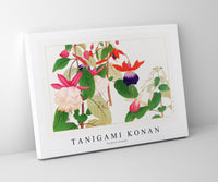 Tanigami Konan - Fuchsia flower