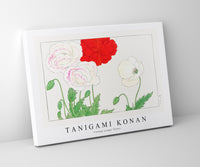 Tanigami Konan - Vintage poppy flower