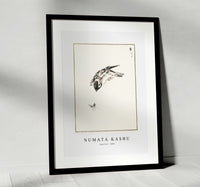 Numata Kashu - Sparrow illustration from Pictorial Monograph of Birds (1885)