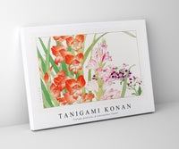 Tanigami Konan - Vintage gladiolus & schizanthus flower