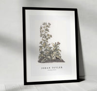 Johan Teyler - Blooming thistles
