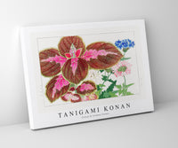 Tanigami Konan - Coleus & verbena flower