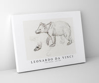Leonardo Da Vinci - A Bear Walking 1482-1485