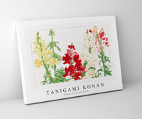 Tanigami Konan - Vintage antirrhinum flower